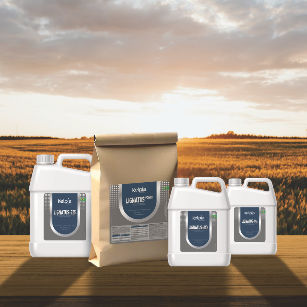 fertilizantes minerais