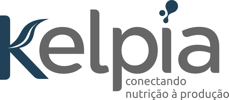 logo colorido